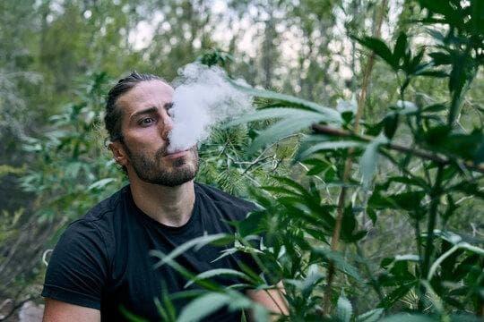 IBVAPE Insider Deals IBVAPE Picks for the Best electronic cigarette sale and Starter Kits